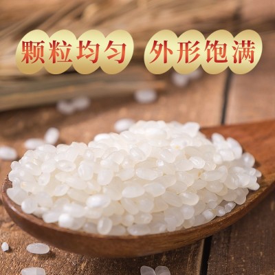 【巴爱】粳米江苏大米10kg南粳5055珍珠大米20斤厂家直销一件代发图4