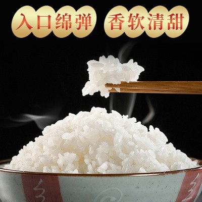 【巴爱】粳米江苏大米10kg南粳5055珍珠大米20斤厂家直销一件代发图2
