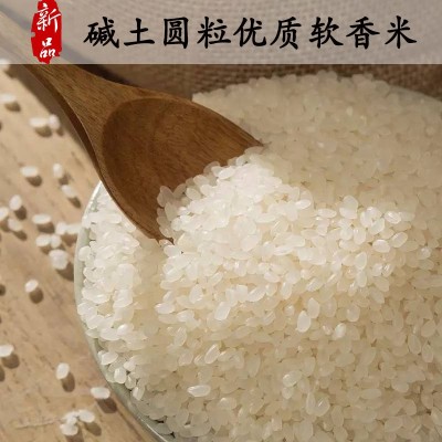 玉甄香 新米江苏大米5kg软香粳米5055珍珠米10斤会销礼品厂家直销图2