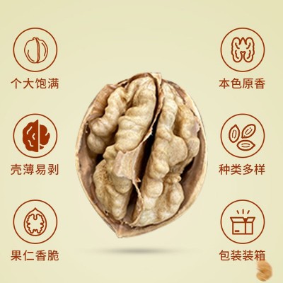 现货阿克苏185纸皮核桃新疆特产手剥即开核桃薄皮大颗核桃仁散装图2