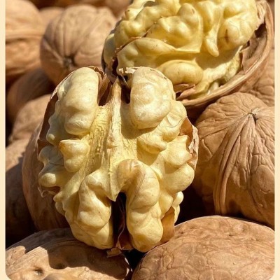 现货阿克苏185纸皮核桃新疆特产手剥即开核桃薄皮大颗核桃仁散装图4