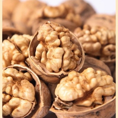 现货阿克苏185纸皮核桃新疆特产手剥即开核桃薄皮大颗核桃仁散装图3