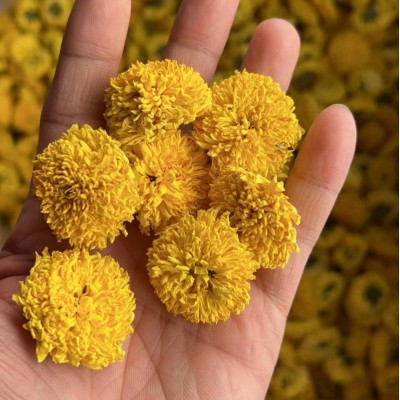 黄山高山黄菊 婺源皇菊花一朵一杯头采菊花茶图2