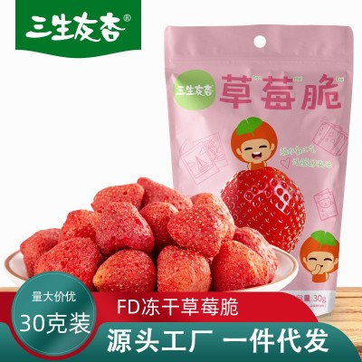 冻干草莓源头工厂批发雪花酥牛轧糖烘培原料水果干草莓脆休闲零食2袋图2