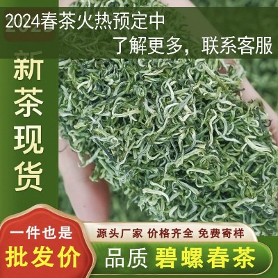 茶叶绿茶碧螺春茶24年新茶一级散装茶叶炒青绿茶叶批发一 件代发1斤图2