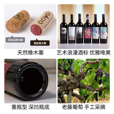 傲鱼智利原装原瓶进口红酒干红葡萄酒水果酒批发代理整箱送礼750  6瓶图5