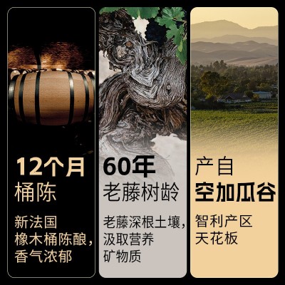 傲鱼智利原装原瓶进口红酒干红葡萄酒水果酒批发代理整箱送礼盒装1瓶图3