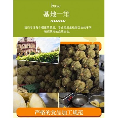泰国金枕头榴莲肉3kg树熟榴莲果肉泥新鲜榴莲速冷冻无核榴莲泥图2