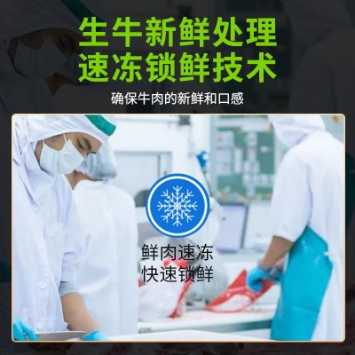 鲜切牛肉原切牛腿肉一斤装冷冻牛肉商火锅饭店用厂家批发图2