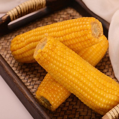 厂家批发东北黄糯玉米2000g每箱玉米棒真空包装方便携带黄玉米图4