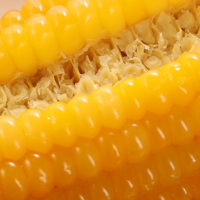 厂家批发东北黄糯玉米2000g每箱玉米棒真空包装方便携带黄玉米图2