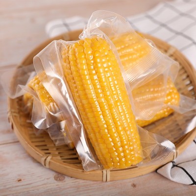 东北甜糯玉米8支每箱619黄糯玉米速食黄玉米真空包装粗粮黏玉米棒图2
