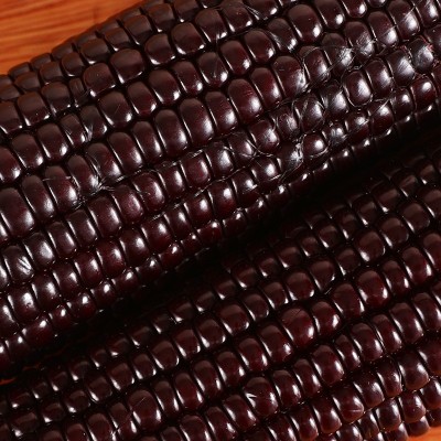 蛟甜东北黑糯玉米吉林黑玉米10根单根包装黑苞米棒五谷杂粮批发图3
