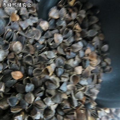 厂家现货批发荞麦壳 干净散装枕头芯座垫填充物荞麦皮 除尘荞麦壳图3