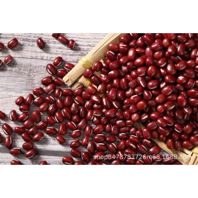 红小豆农安红珍珠红小豆 红豆粗粮批发 红小豆厂家批发红豆馅图3