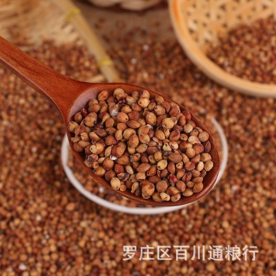 大量批发糯高粱 酿酒新糯红高粱米五谷杂粮带皮红高粱袋装100斤装图4