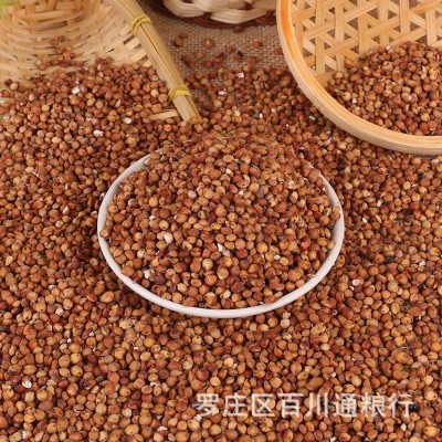 大量批发糯高粱 酿酒新糯红高粱米五谷杂粮带皮红高粱袋装100斤装图2