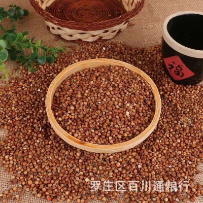 大量批发糯高粱 酿酒新糯红高粱米五谷杂粮带皮红高粱袋装100斤装图3