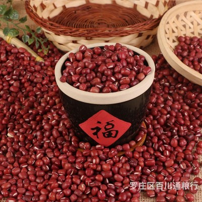 批发大粒红豆 农家红小豆非赤小豆大红豆 五谷杂粮豆类代加工图2