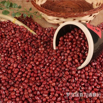 批发大粒红豆 农家红小豆非赤小豆大红豆 五谷杂粮豆类代加工图3