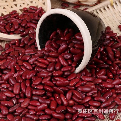 农家红芸豆 批发英国红大红豆八宝粥原料红芸豆红腰豆 五谷杂粮图3