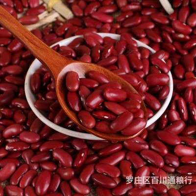 农家红芸豆 批发英国红大红豆八宝粥原料红芸豆红腰豆 五谷杂粮图4