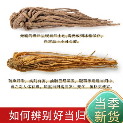 当归中药材无硫甘肃岷县当归整根煲汤正品批发甘肃岷县产地直发1斤图3