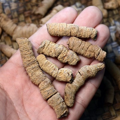 巴戟天肉特大条去心抽芯干货中药材批发250克g巴战天巴戬天八戟天图2