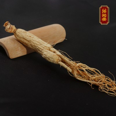500g装批发吉林长白山干人参礼盒装 整枝白参全须东北特产生晒参图4