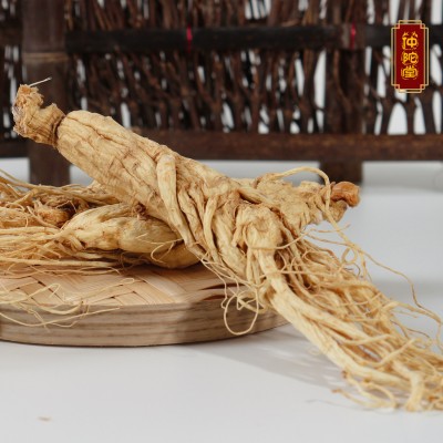 500g装批发吉林长白山干人参礼盒装 整枝白参全须东北特产生晒参图2