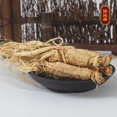 500g装批发吉林长白山干人参礼盒装 整枝白参全须东北特产生晒参图3