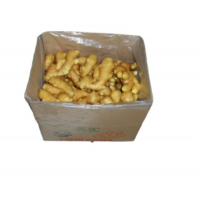 厂家供应自有种植基地小黄姜 食用农产品生姜鲜姜大姜月子姜批发图5