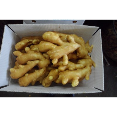 厂家供应自有种植基地小黄姜 食用农产品生姜鲜姜大姜月子姜批发图2