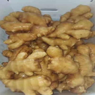 山东新鲜大姜生姜农家自种现挖新鲜小黄姜新鲜蔬菜嫩姜月子姜批发图5