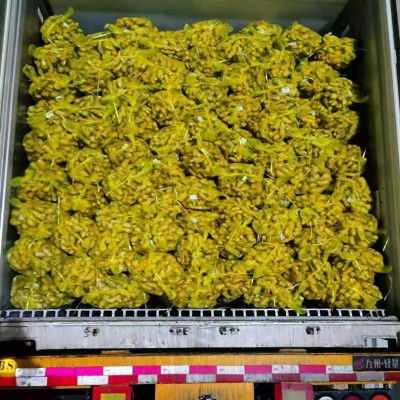 山东新鲜大姜生姜农家自种现挖新鲜小黄姜新鲜蔬菜嫩姜月子姜批发图3