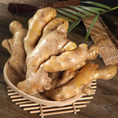 山东特产大黄姜老姜农家种植生姜面姜水洗姜厂家批发保鲜姜嫩黄姜图3