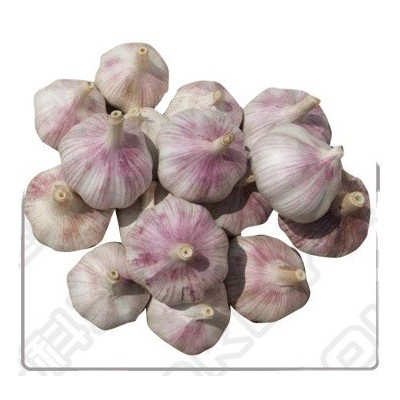 金乡紫皮大蒜 出口大蒜品质 辛辣大蒜 2kg/件 19元/件图5