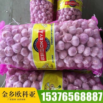金乡出口大蒜产地直销 大瓣蒜辣味浓网袋装干蒜头现货批发图3