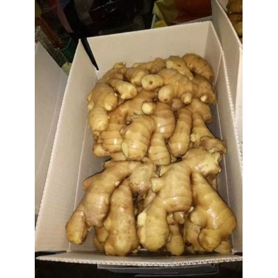 供应出口风干姜，air dried ginger,china ginger,鲜姜图2