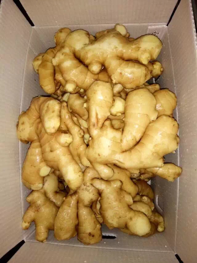 保鲜姜