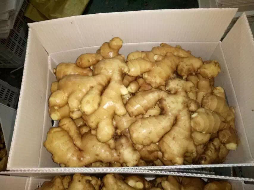 air dried ginger