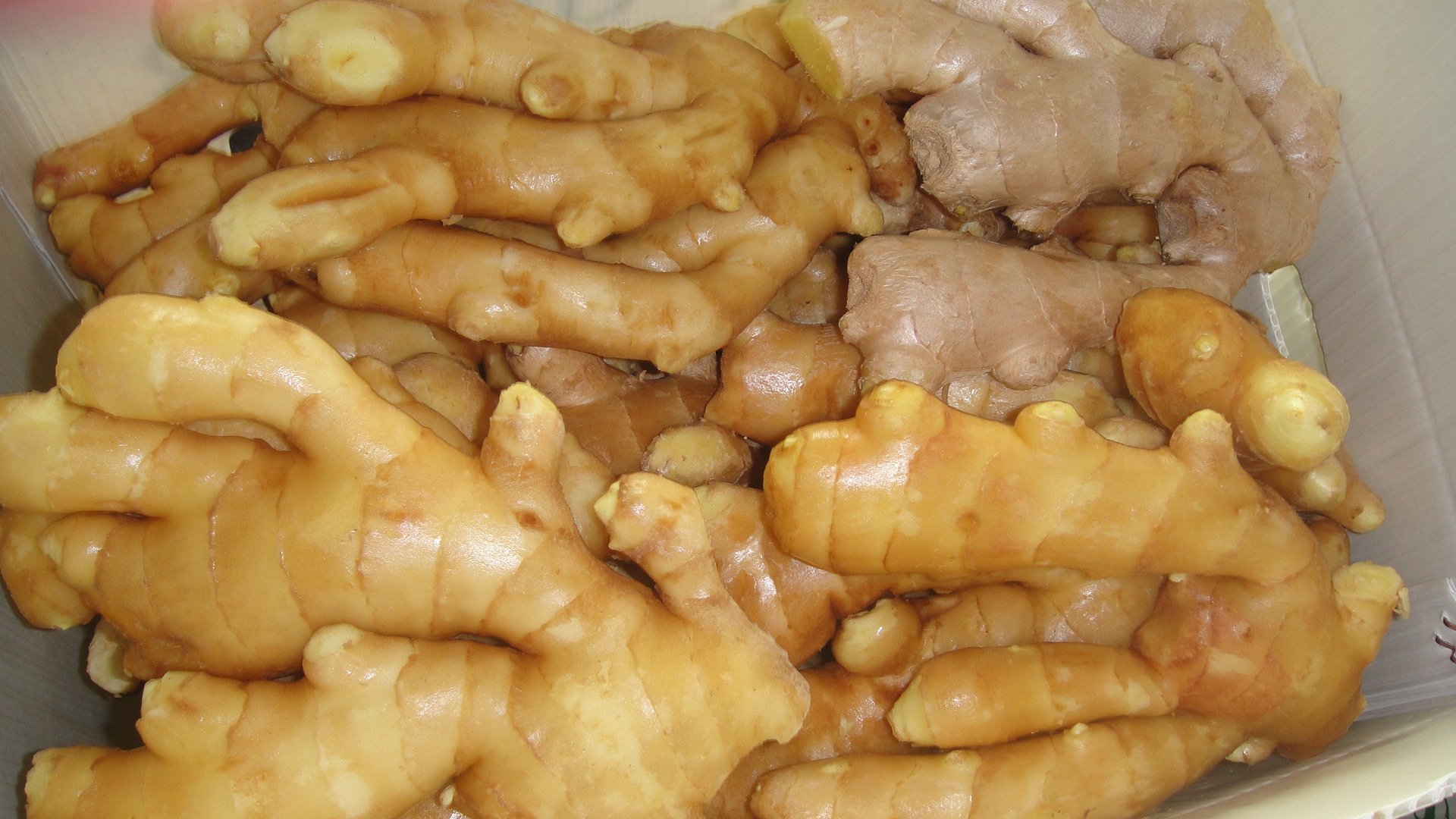 fresh ginger