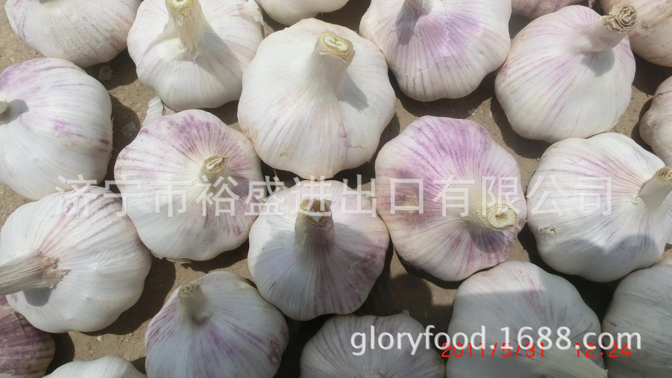 公司产品图片