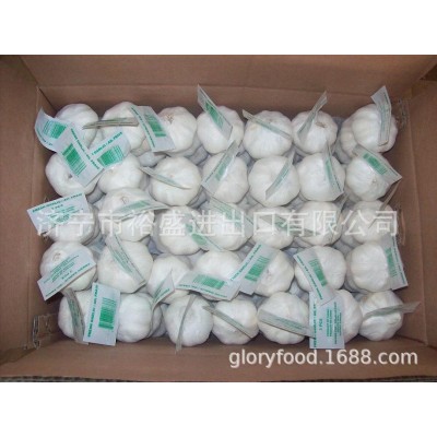 供应出口保鲜大蒜，大蒜头，纯白蒜，大包装，小包装图3