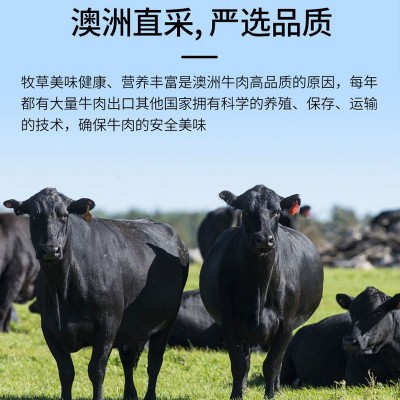 澳洲进口和牛m9西冷牛排雪花牛肉纯血新鲜原切 500天谷饲精心饲养图4