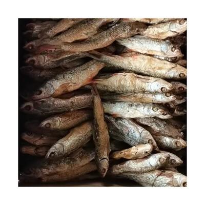 厂家水产干货小鱼干散装烹饪爆炒鲜香鱼干下饭菜自然晾晒味道鲜美图5