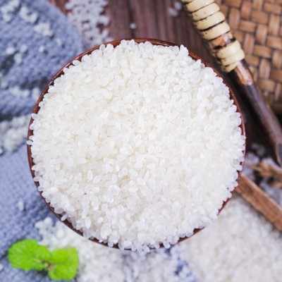 东北小町米批发5kg 25kg2023年新米批发食堂用米会销礼品米批发图4