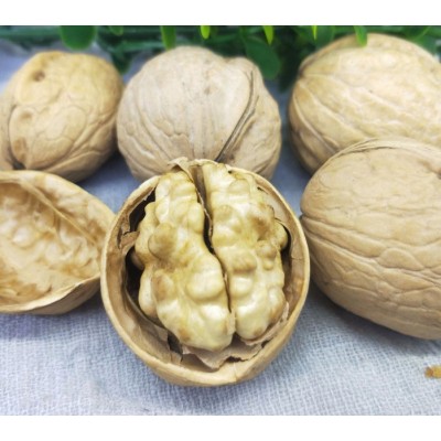 厂家批纸皮核桃干果坚果零食休闲食品 一件代发 包邮