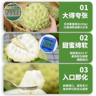 新鲜牛奶释迦果5斤凤梨释迦水果当季番荔枝佛头果摩尼果非台湾1斤图3