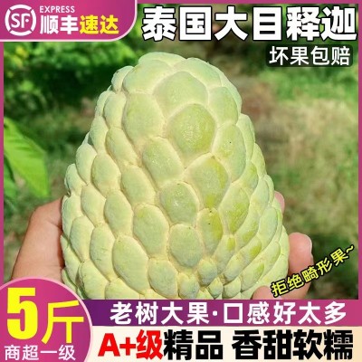 新鲜牛奶释迦果5斤凤梨释迦水果当季番荔枝佛头果摩尼果非台湾1斤图2